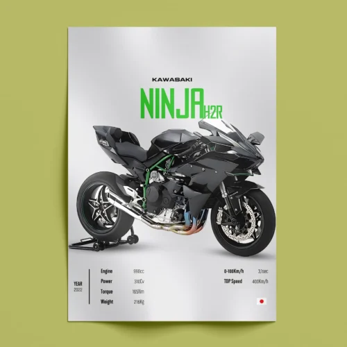 Kawasaki Ninja Wall Art